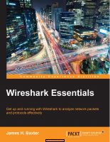 Wireshark Essentials.pdf